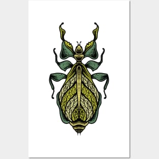 Insect 1 Posters and Art